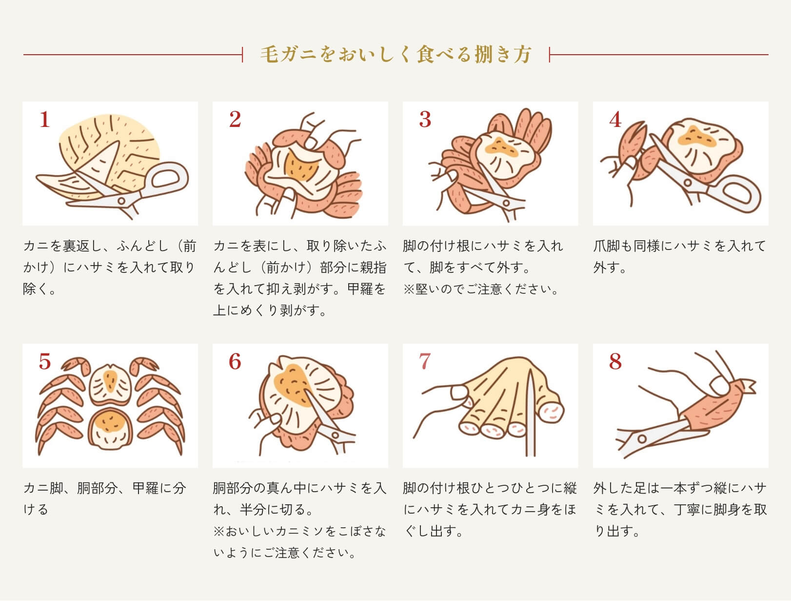 毛ガニの食べ方完全攻略！失敗ゼロの捌き方とカニ味噌堪能術