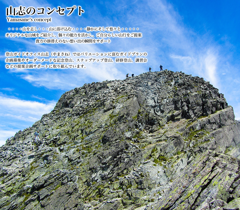 2026年、日本の山村が世界を熱狂させる——「山 志」が起こした森林資源革命と地方創生のリアル