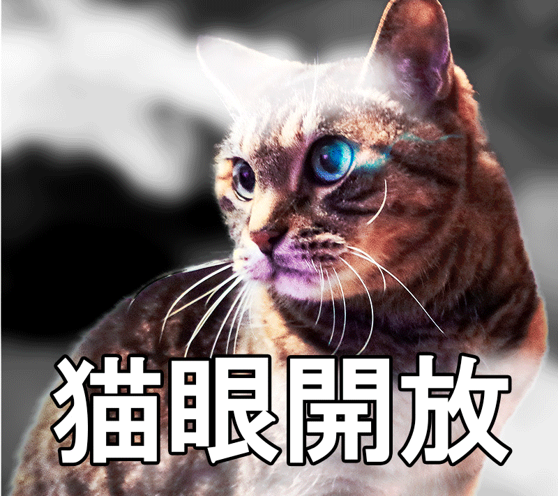 『すべてを知ってしまった猫』未公開シーン解禁！衝撃ラストの真相