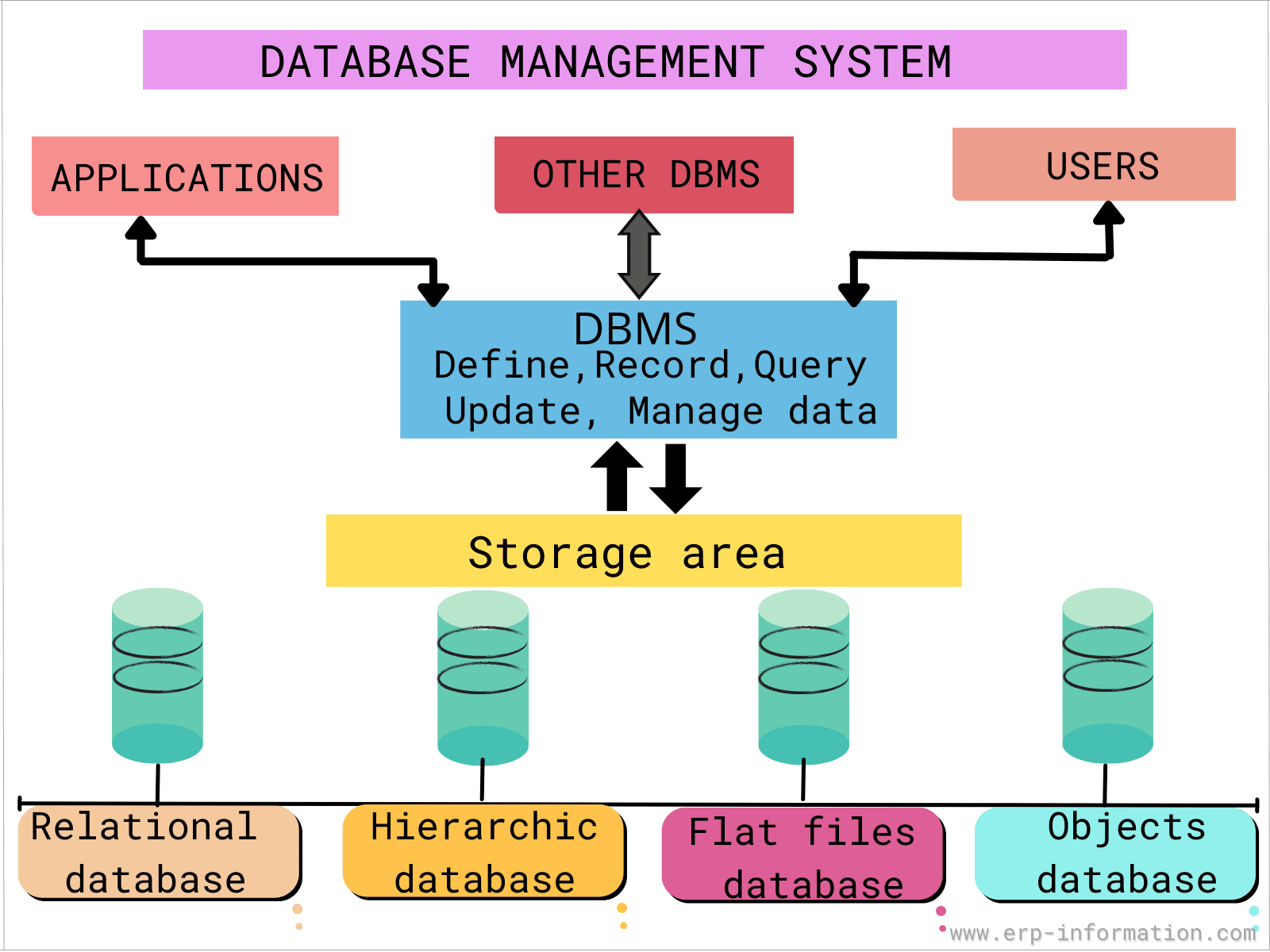 What Is Database and Database Management System