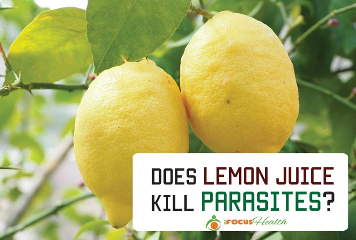 Does Citrus Kill Parasites
