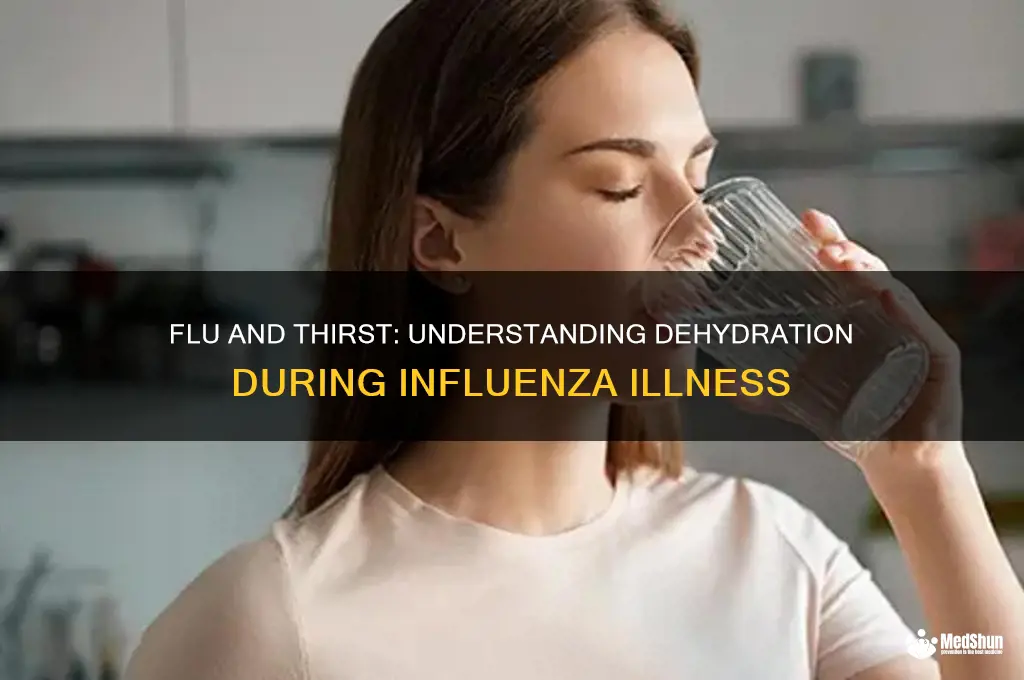 Does the Flu Dehydrate You