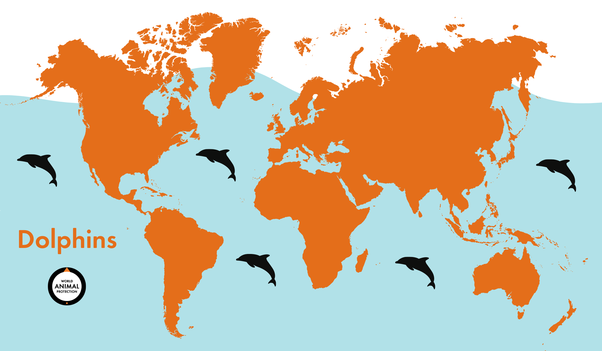 Where Does a Dolphin Live