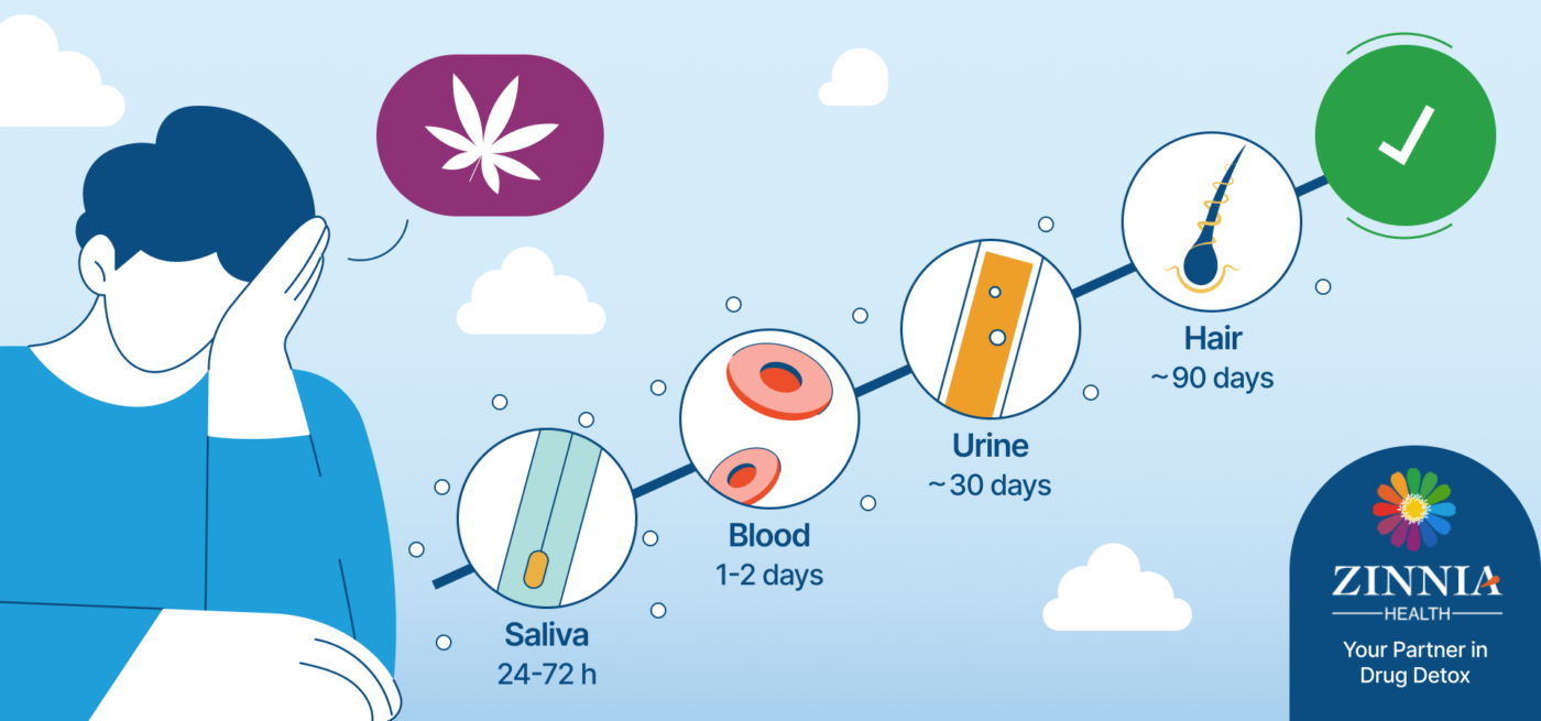 How Long Does It Take to Cleanse Your System