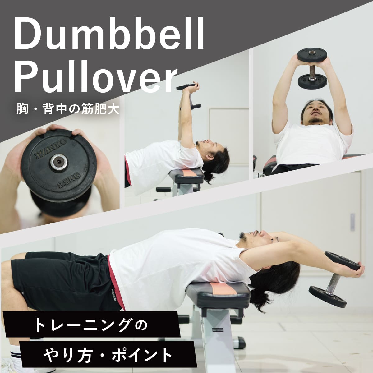 ダンベルプルオーバーの真実！胸と背中の効かせ分けと肩痛を防ぐ極意
