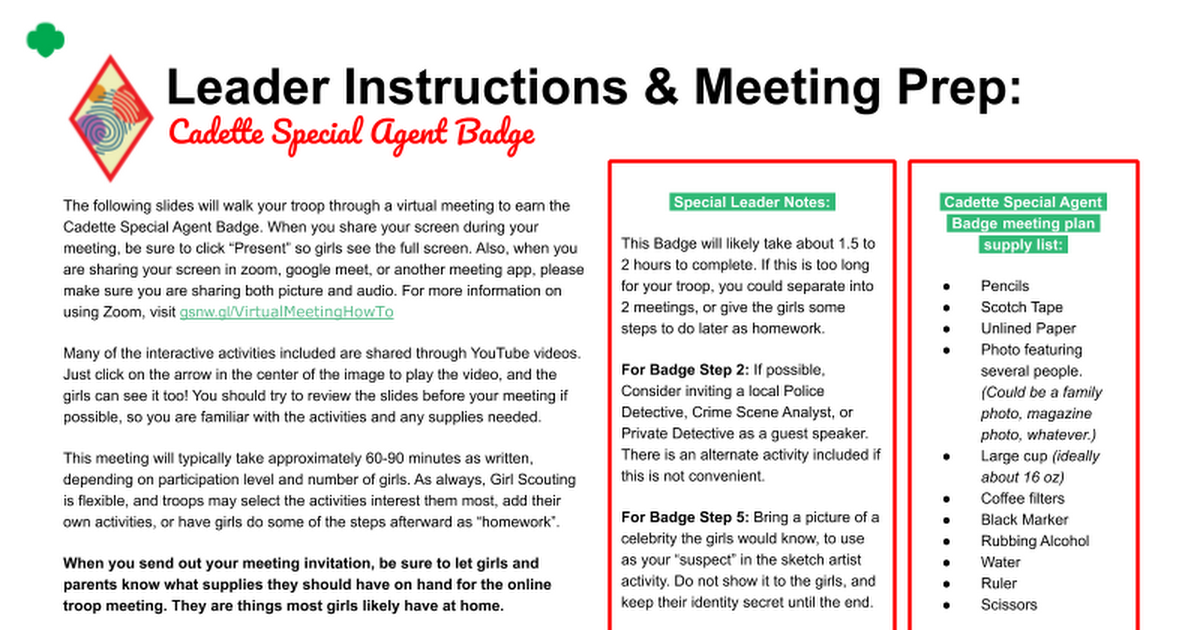 Cadette Special Agent Badge Requirements Pdf