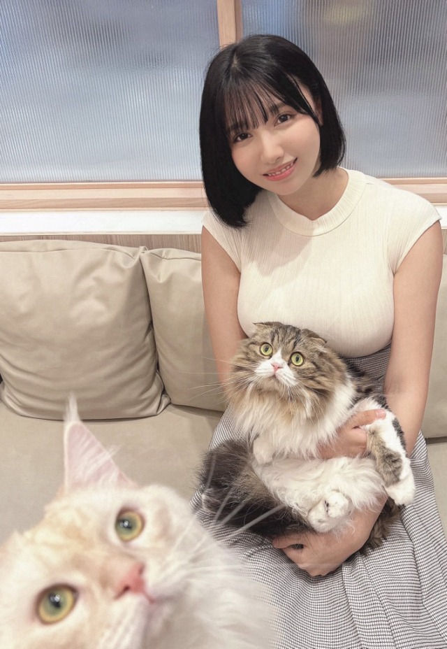 Snsから突如現れた2026年の異彩「三橋くん」とは何者か？日本中を巻き込む熱狂とZ世代のリアル