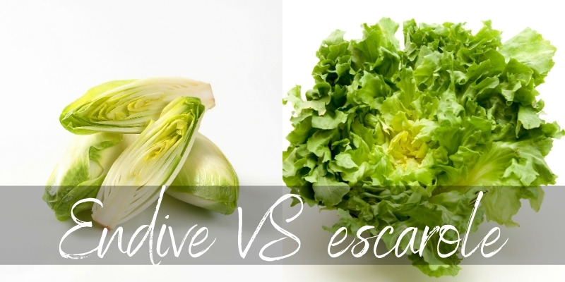 Is Endive the Same as Escarole