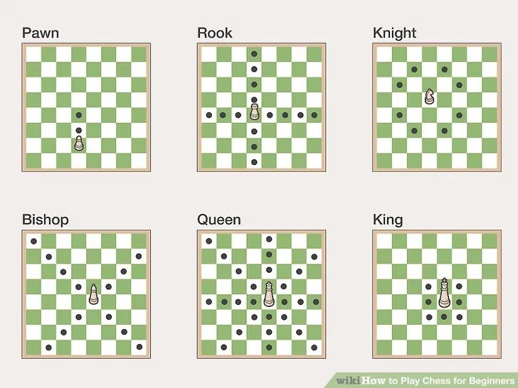 Learn How to Play Chess for Beginners
