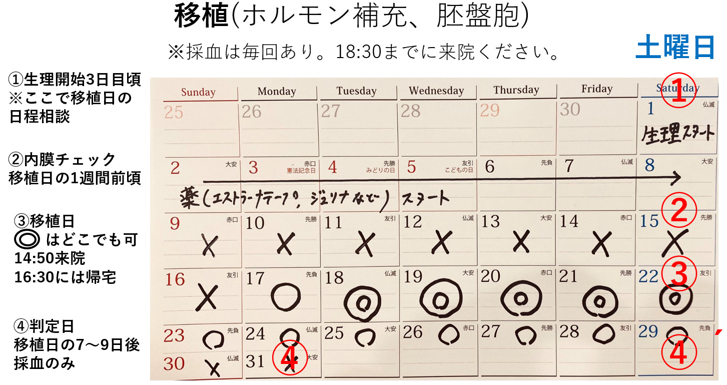 胚移植予定日はどう決まる？計算方法と延期理由・当日の全手順