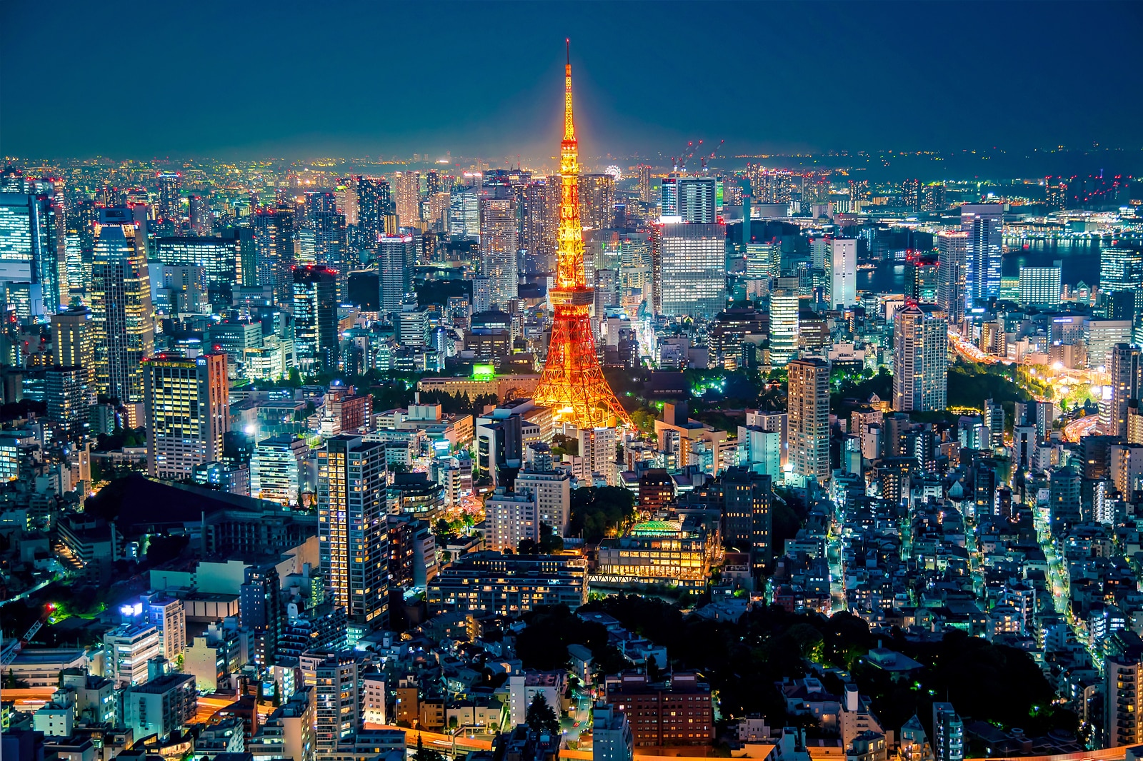 六本木ヒルズ展望台の現在地｜2026年最新チケットと失敗回避術