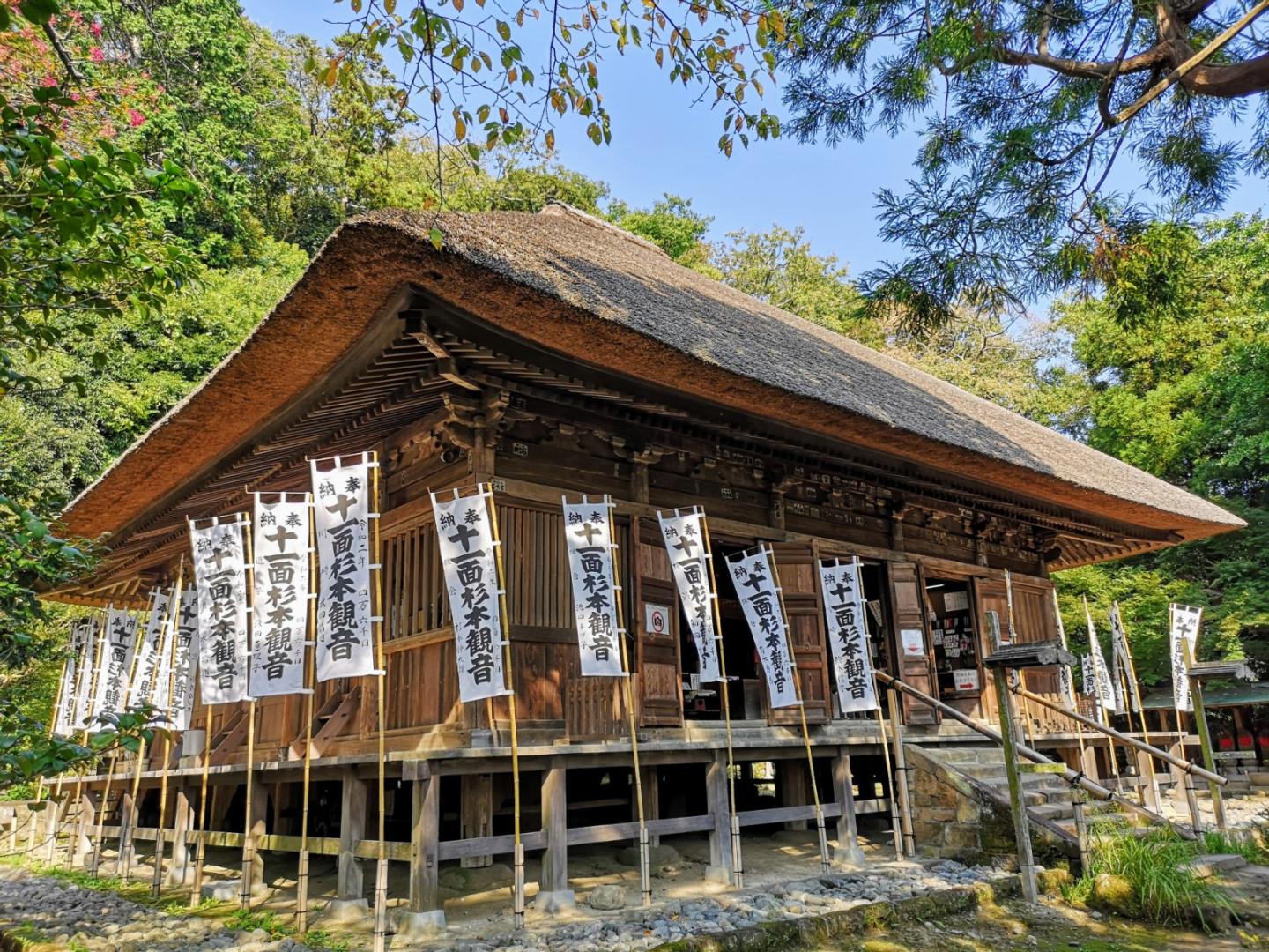鎌倉最古の杉本寺を歩く！苔階段の真相と三体十一面観音の力