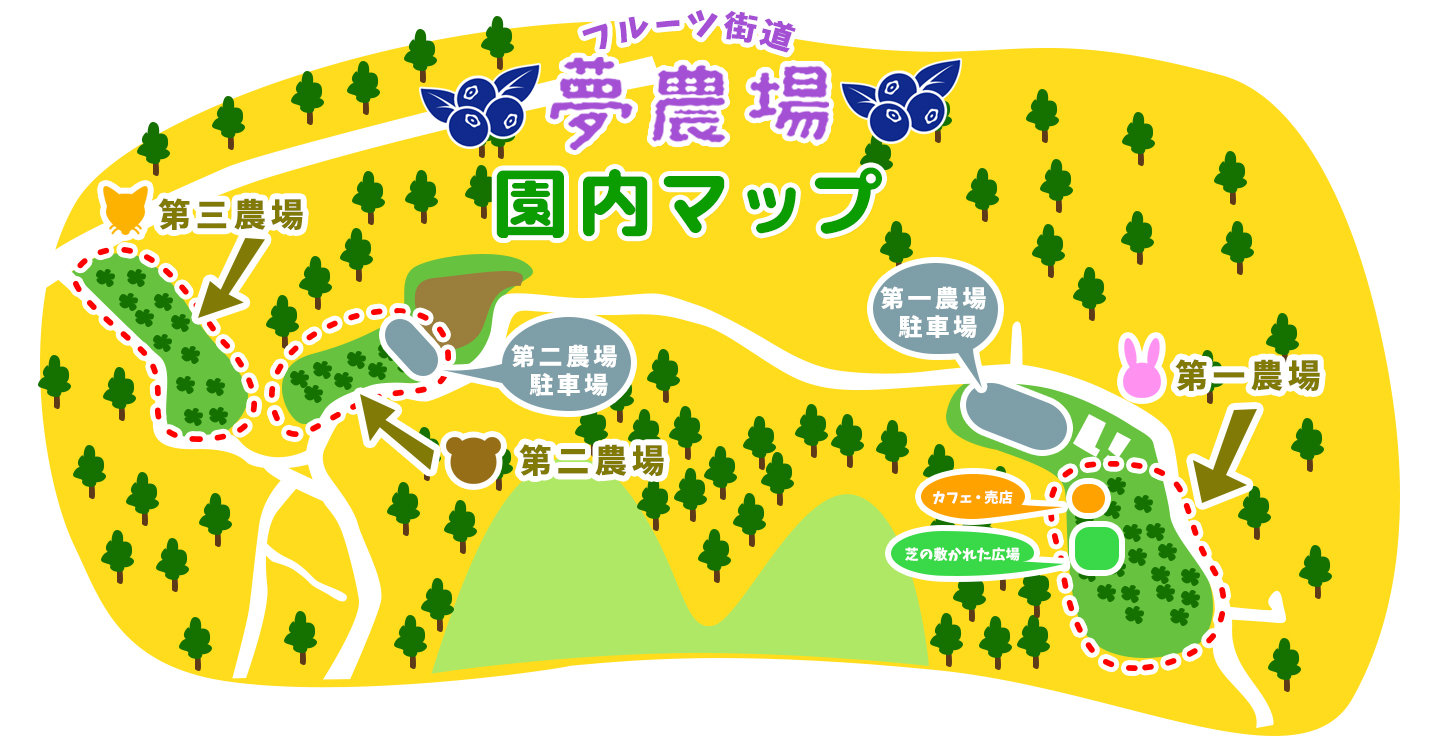 【2026】長野池田町・夢農場の見頃は？ラベンダー開花と絶景カフェ