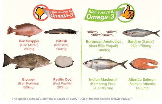 What Fish Is Lowest in Cholesterol
