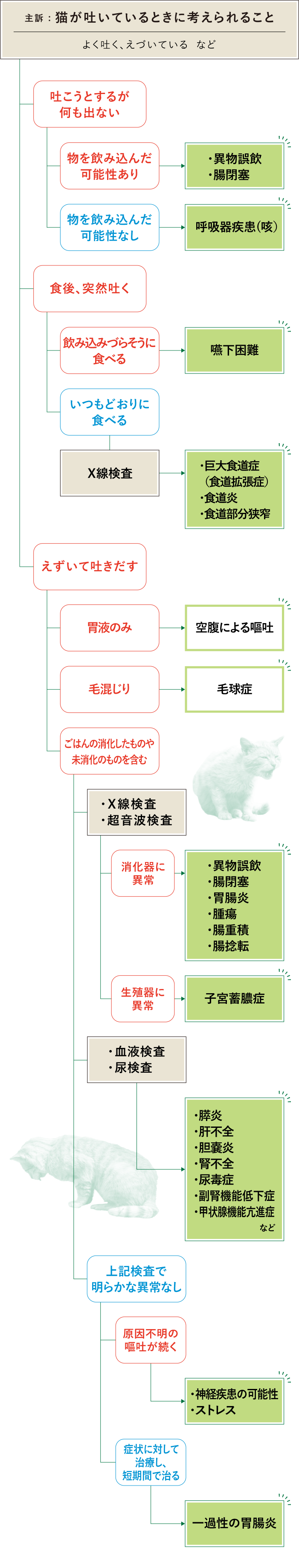 猫が吐きそうで吐かない原因は？命に関わる危険な兆候と緊急受診の基準