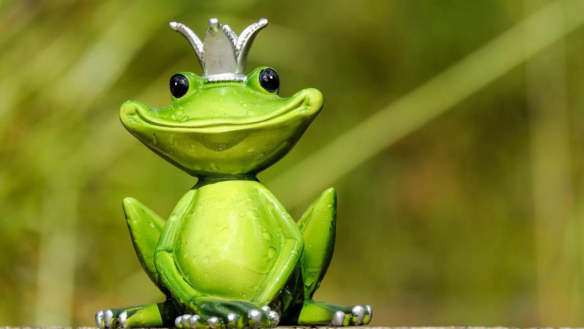 カエルの英語はFrogだけ？Toadの違いや鳴き声・スラング解説