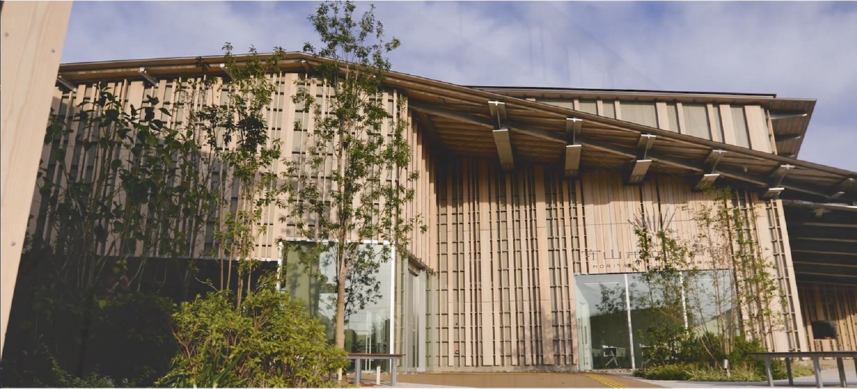 木もれ日踊る隈研吾の建築美！守山市立図書館の最新活用ガイド
