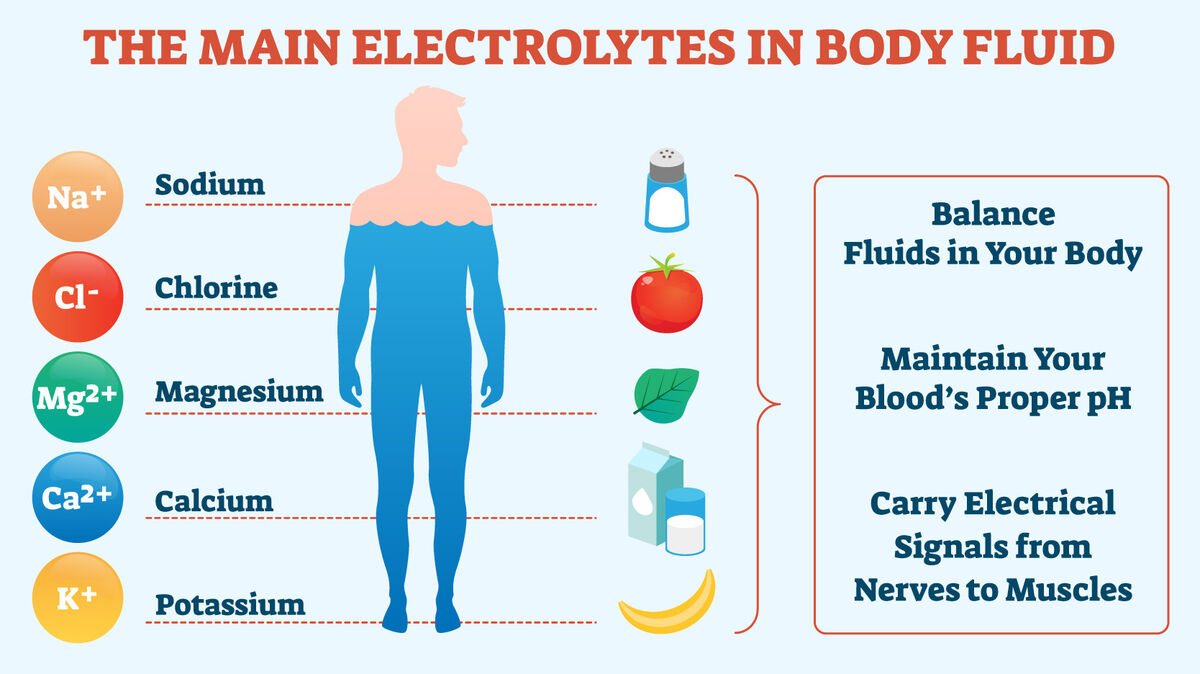 What Is Electrolytes Good For