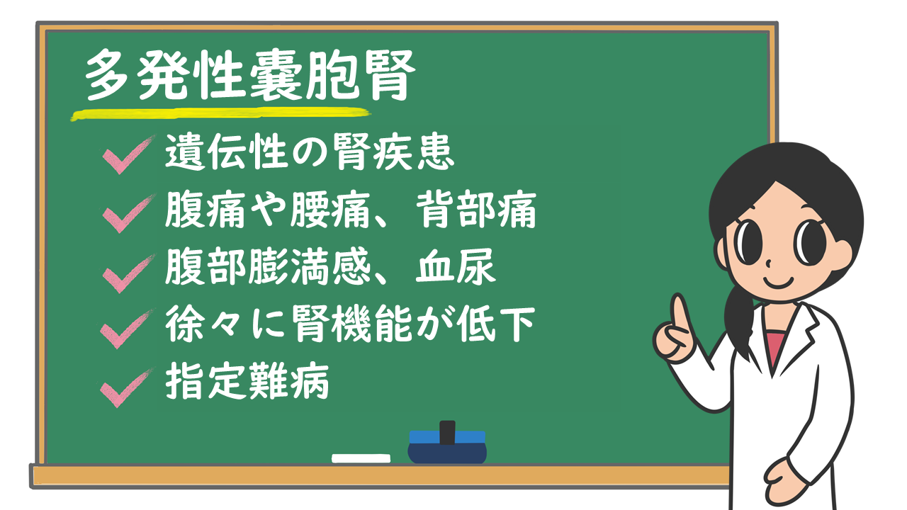 多発性嚢胞腎が治った噂の真相｜2026年の最新治療と完治の可能性