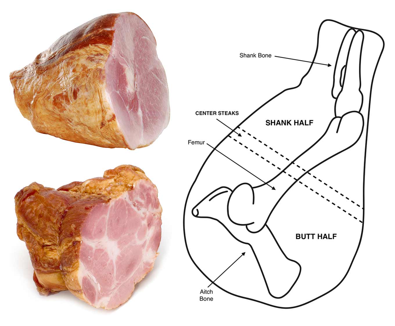 What Part Does Ham Come From