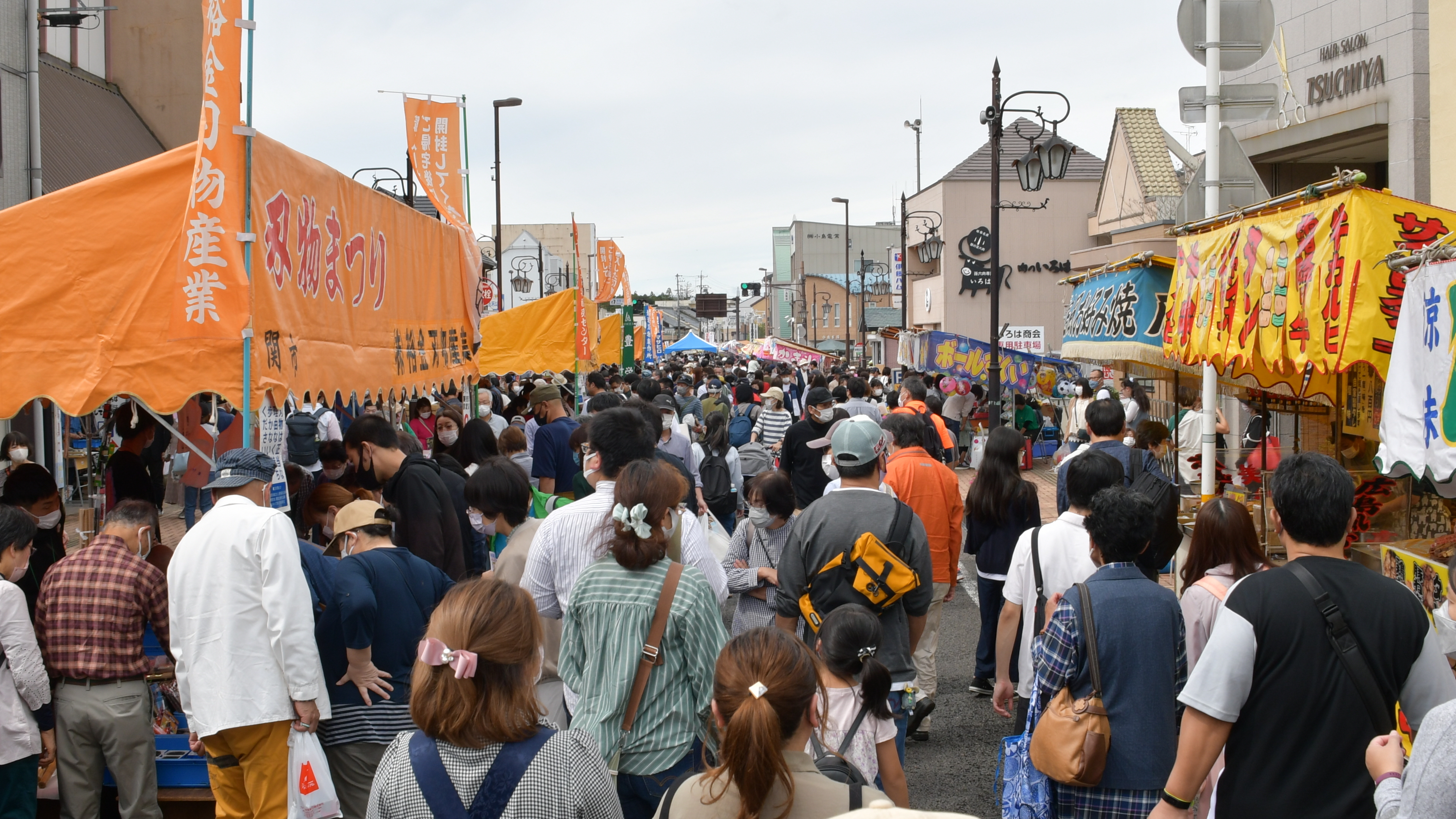 熱気沸く関市刃物まつり2026｜廉売市の戦利品と駐車場攻略の極意