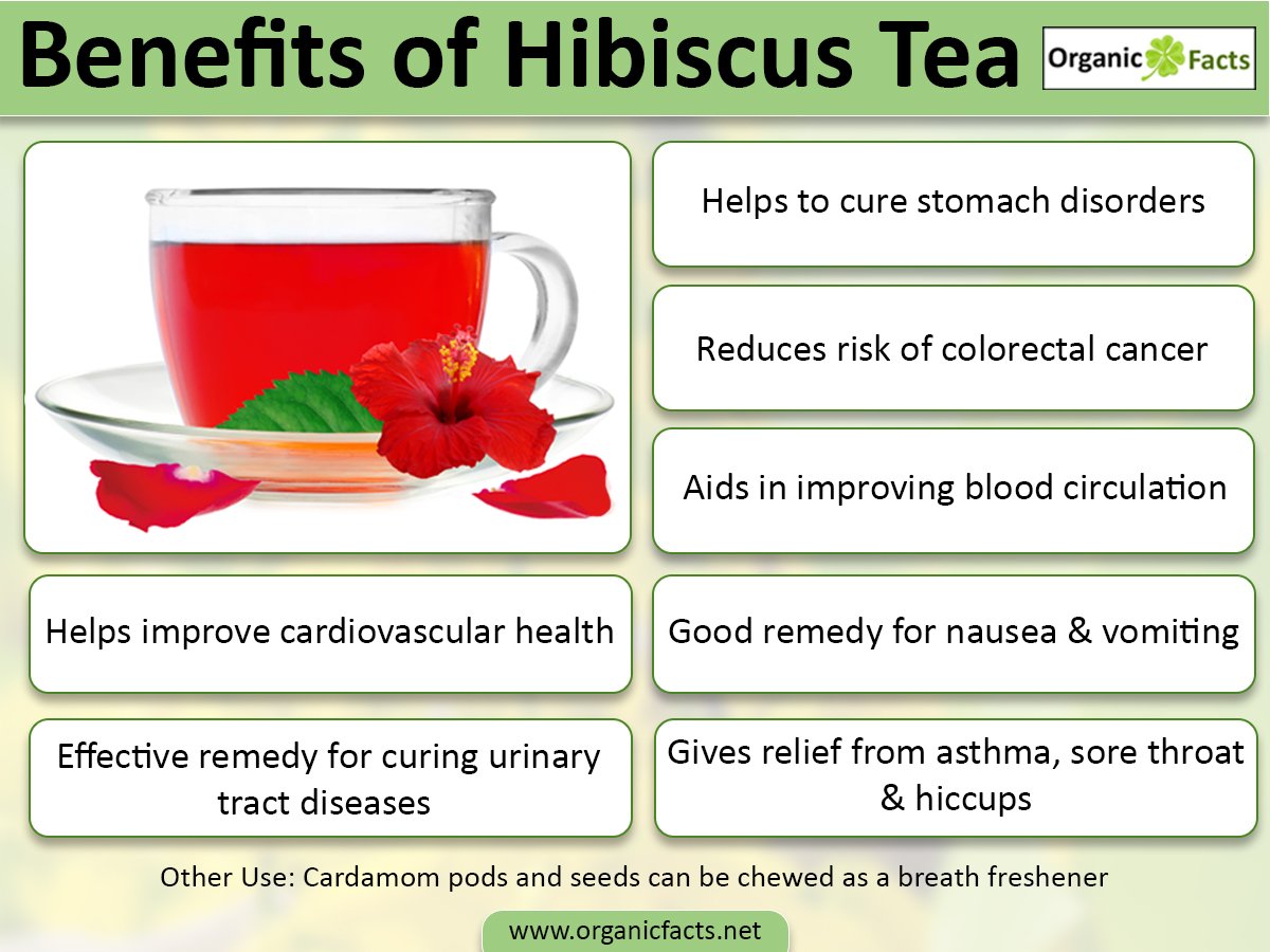 Hibiscus Tea Pros and Cons