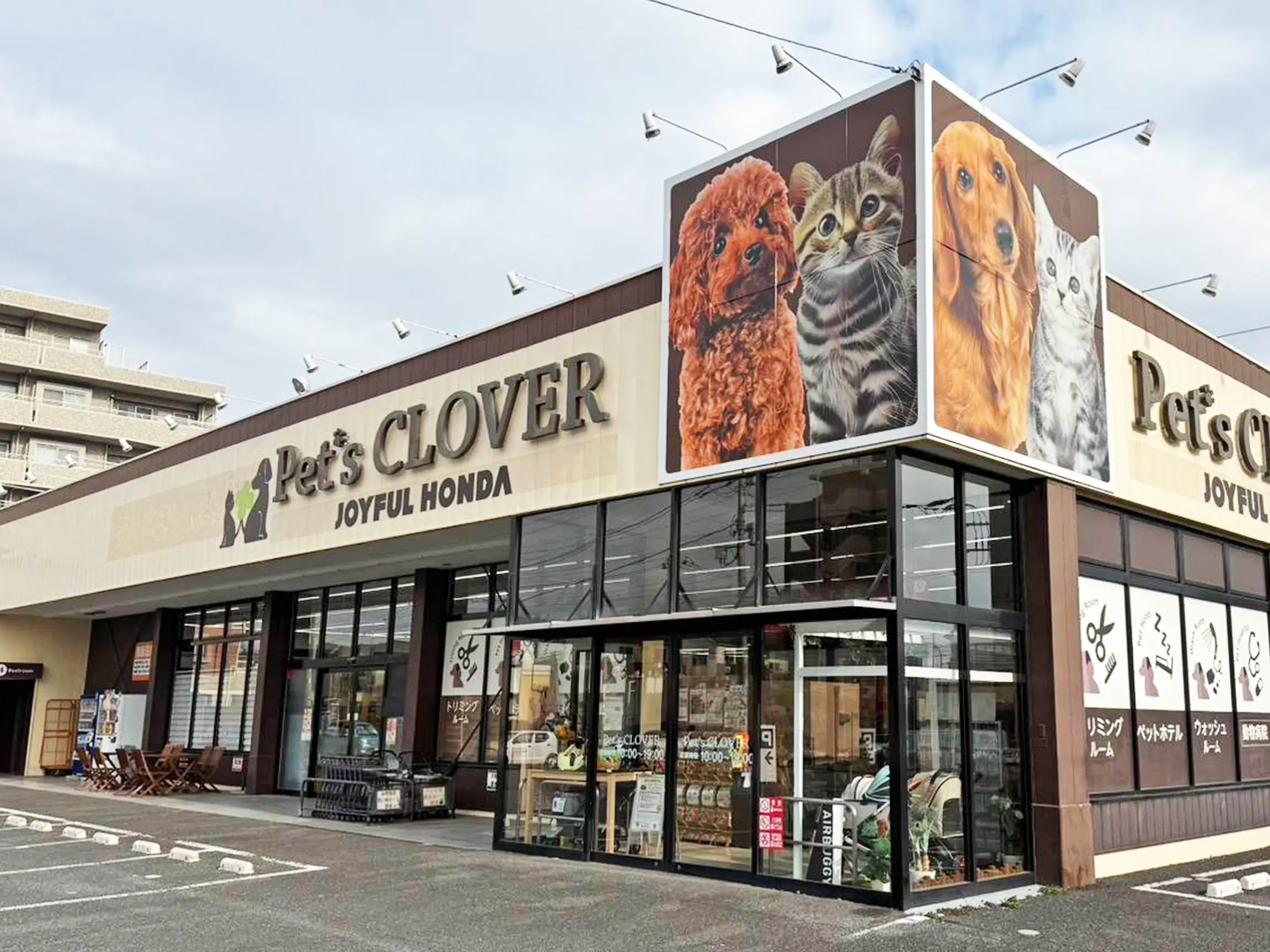 ペッツクローバー東大宮店の評判と2026年最新営業実態を徹底解剖