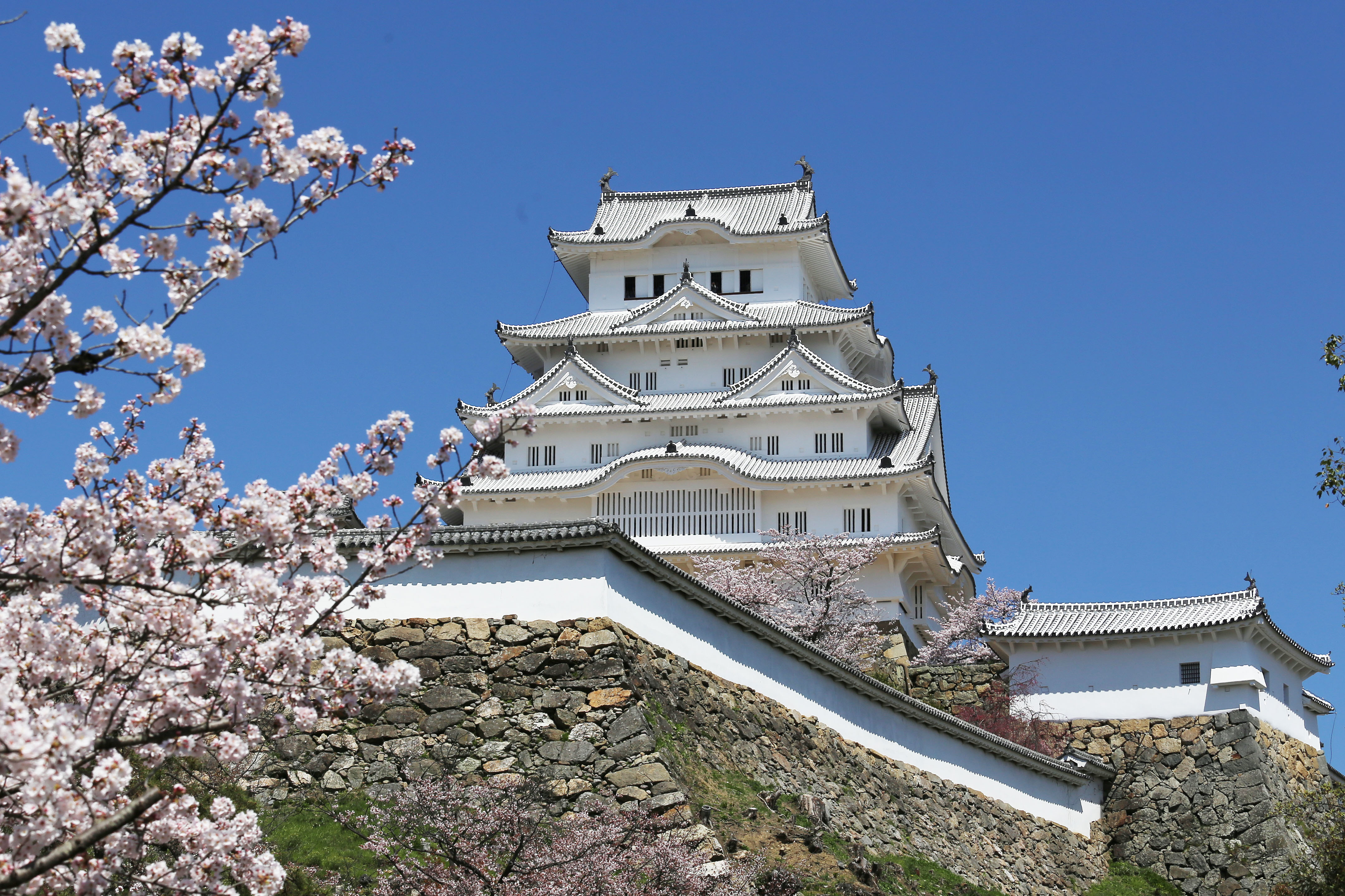 【2026年現地ルポ】姫路市役所が断行する「待ち時間ゼロ」の衝撃改革——世界遺産の街が魅せる自治体Dxの到達点