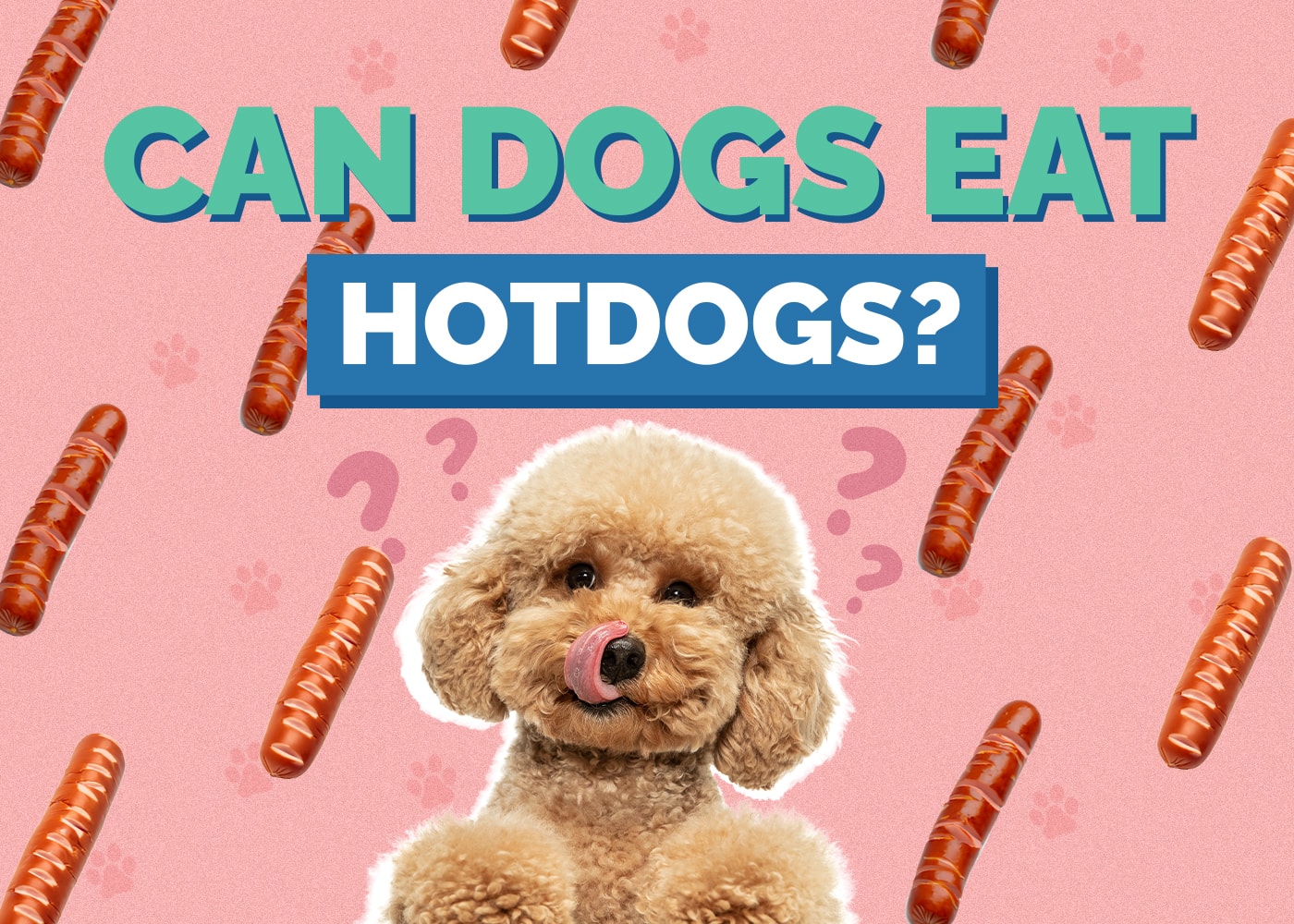 Can Dogs Eat Hot Dogs