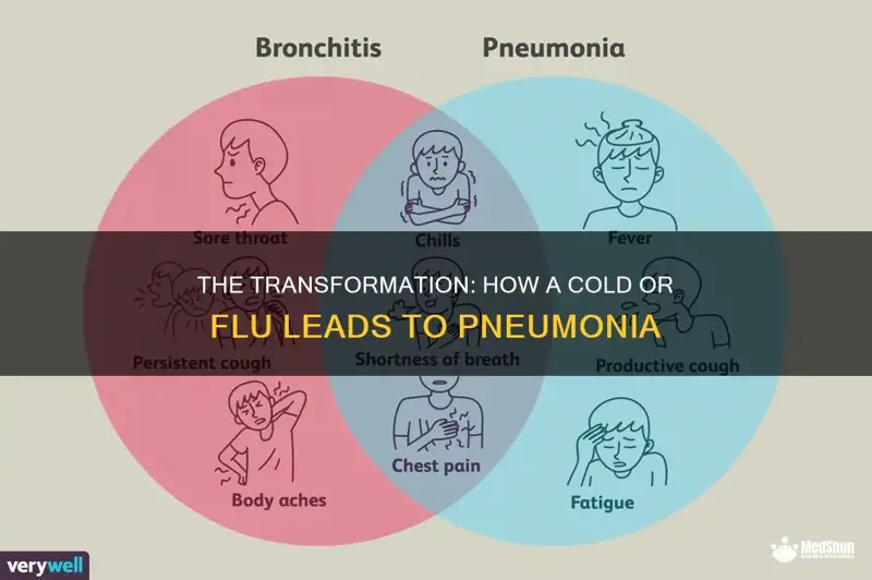 Can the Flu Turn to Pneumonia