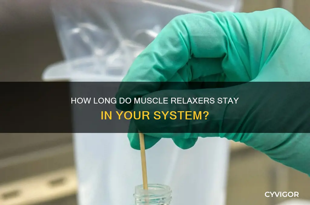 How Long Is a Muscle Relaxer in Your System