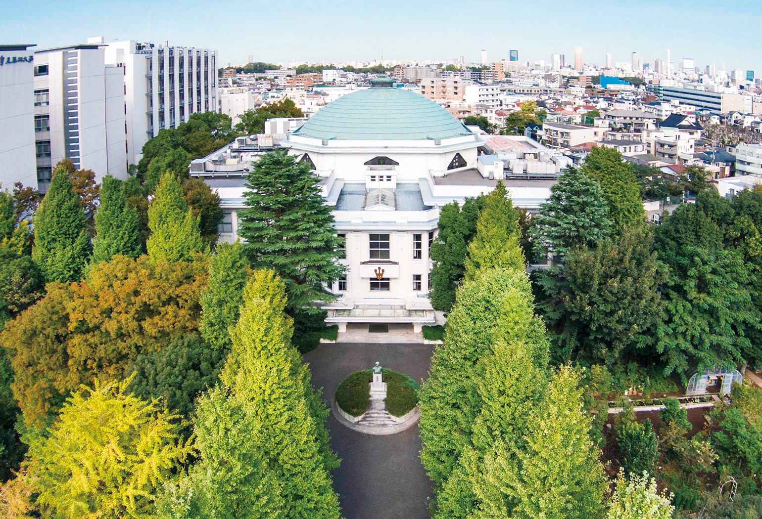昭和薬科大学の偏差値と難化易化の真相！2026年最新推移と選び方
