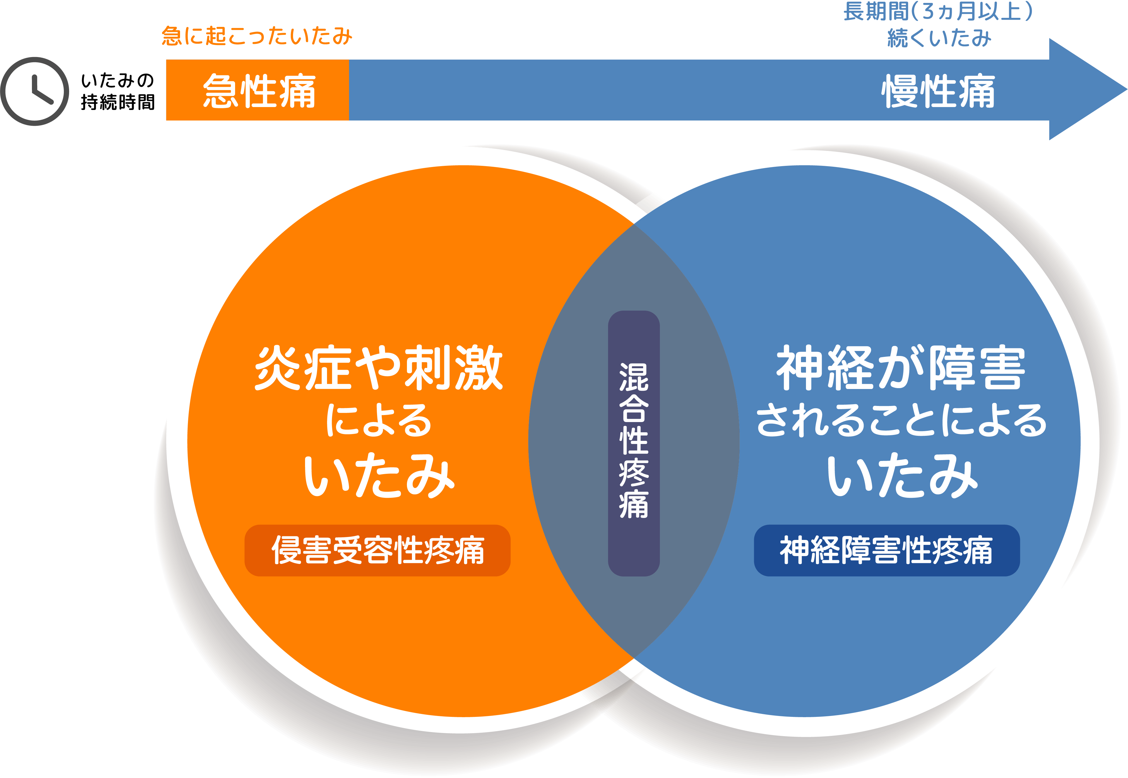 なぜ湿布が効かない？神経障害性疼痛の原因と2026年最新治療