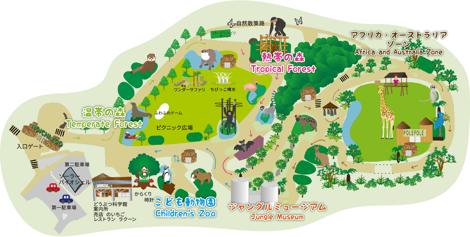 都市部の巨人を抑えなぜ「満足度日本一」を誇るのか？高知県立のいち動物公園が切り拓く2026年型アニマルウェルフェアの最前線