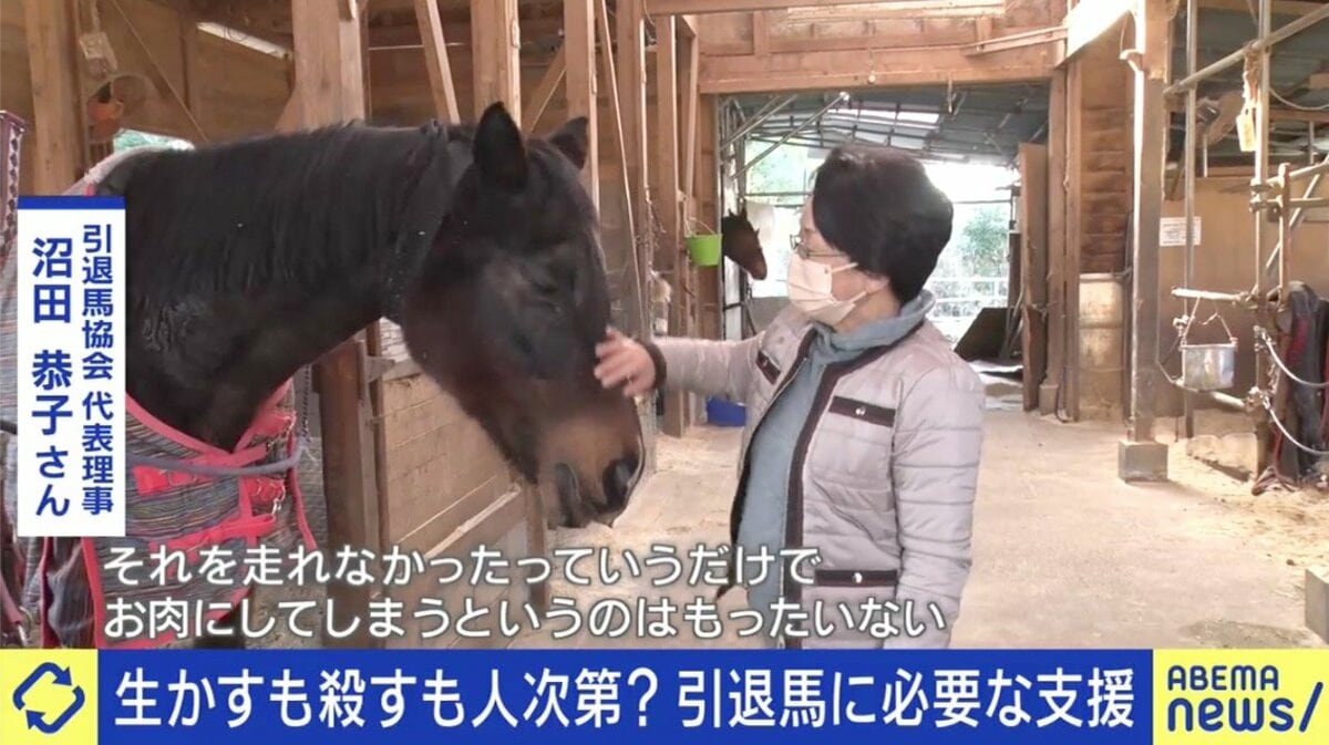 光と影の真相：引退競走馬と馬肉産業が辿る知られざる現実と未来