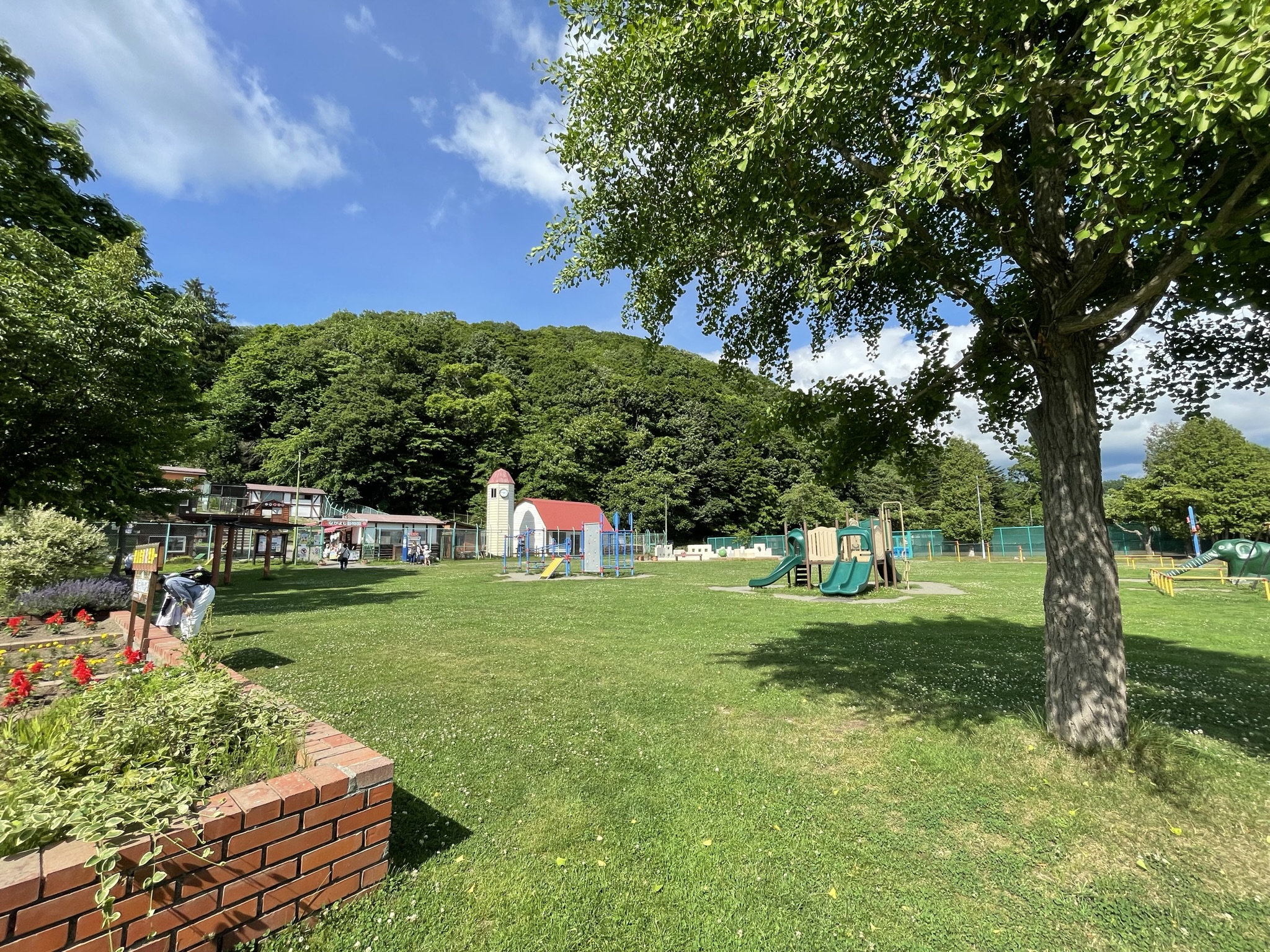栗山公園の桜と動物園を満喫！混雑回避の裏技と新スポット現地ルポ