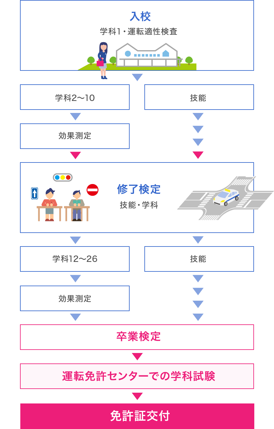 車校の流れ完全解説！入校から免許交付までの全ステップと最短攻略法