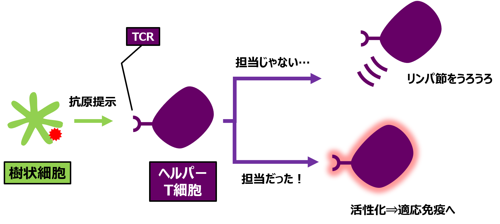 寛容とは単なる我慢か？本質的な意味と不寛容社会を生き抜く知恵