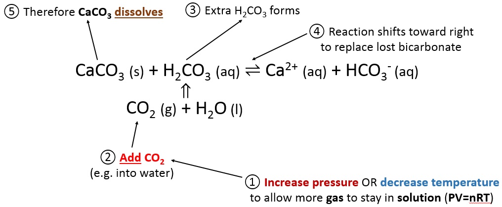 Does Calcium Carbonate Dissolve in Water