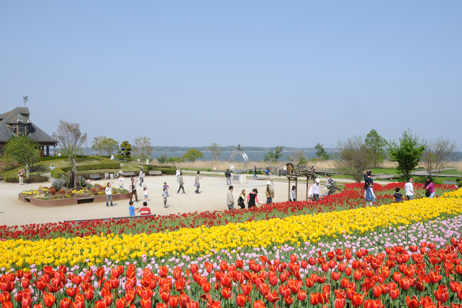 茨城・霞ヶ浦総合公園の光と影｜絶景風車と混雑の真相を徹底検証