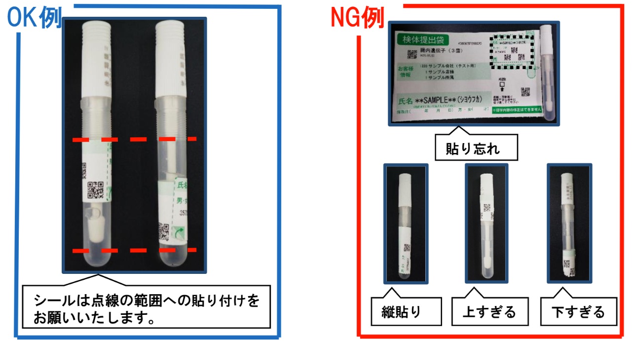 検便の正しい取り方とコツ！洋式トイレの水没防止から保存法まで徹底解説