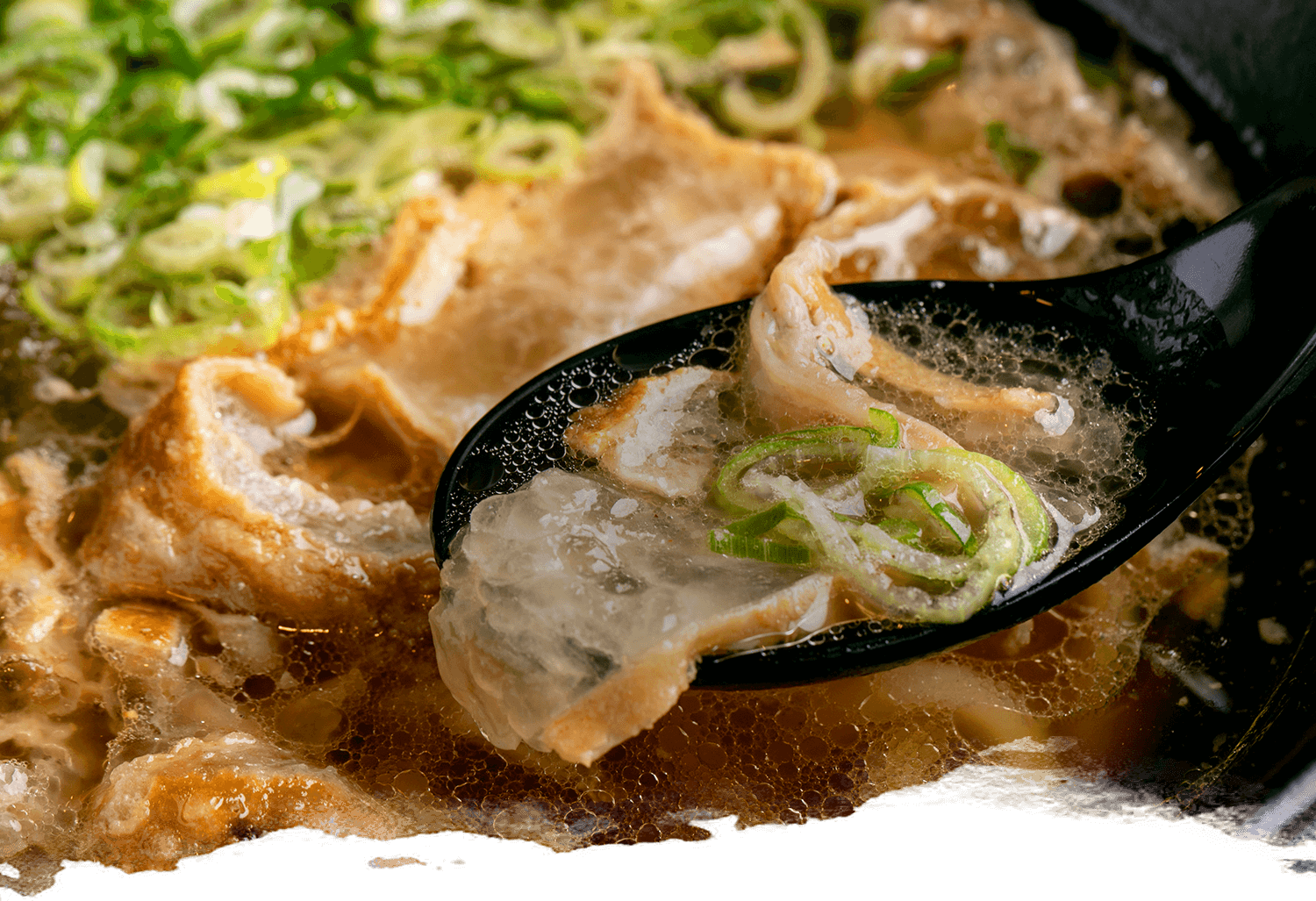 大阪かすうどん中毒の真相とは？発祥の歴史と2026年名店を徹底解剖