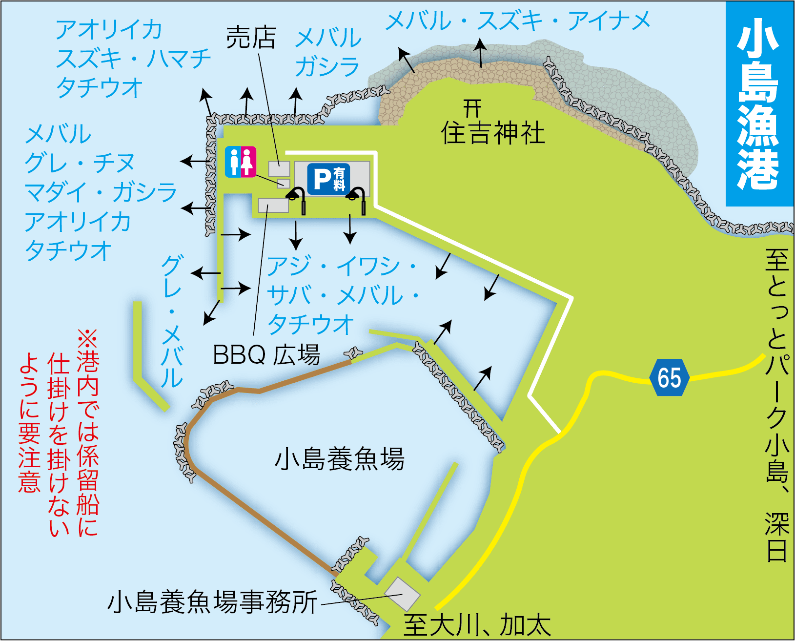 小島漁港駐車場の現在と釣り禁止の真相｜料金・夜間利用を徹底解説
