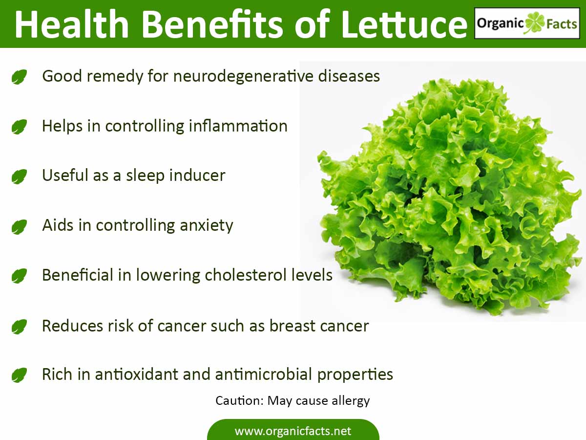 How Good Is Lettuce for You