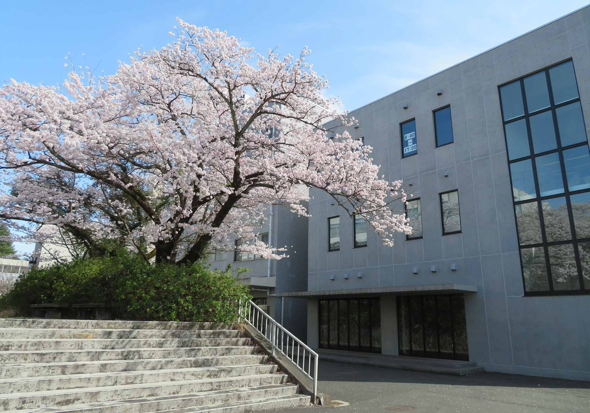 東京工業高等専門学校2026｜難関国立大編入率が高い本当の理由