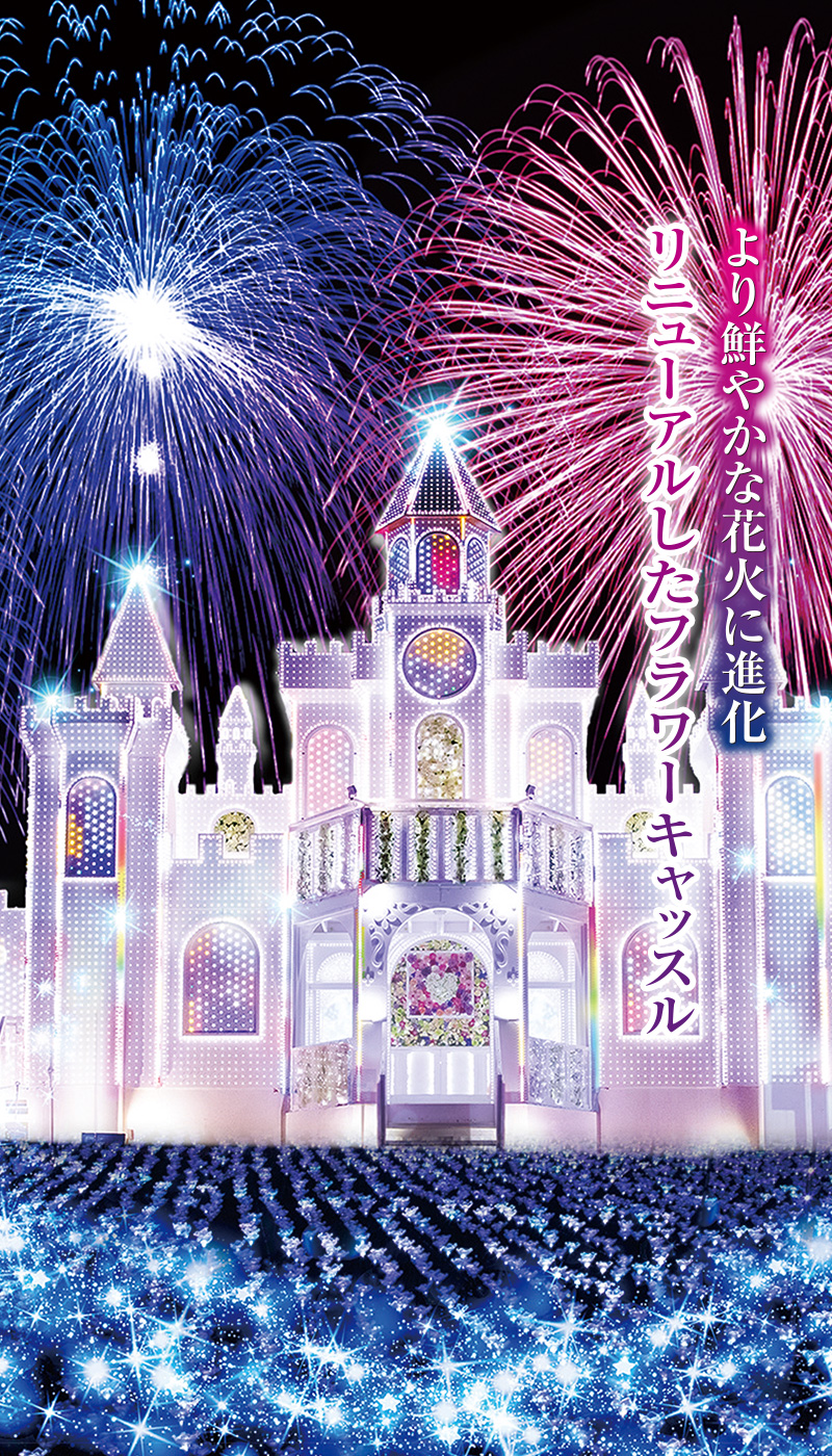 足利フラワーパークイルミネーションいつまで？期間・点灯時間と混雑対策