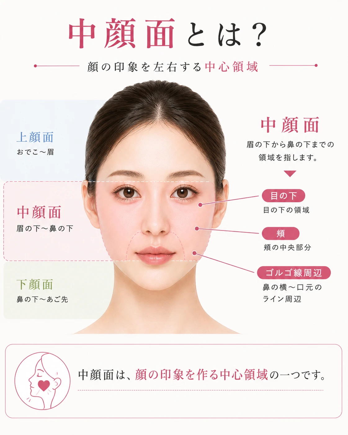 中顔面とはどこの部位？黄金比と短縮メイクで劇的小顔を叶える真相