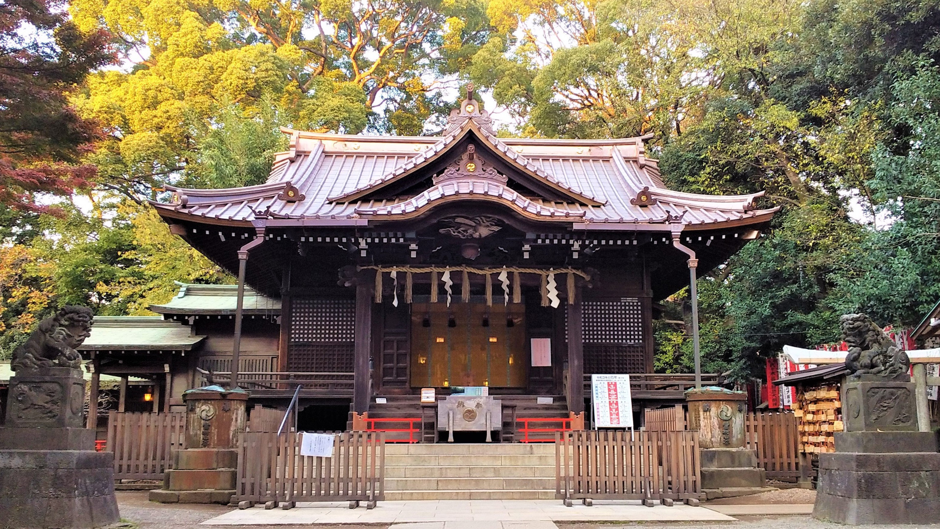 芸能人も忍ぶ代々木八幡宮の秘密！出世と金運を高める正しい参拝法