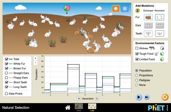 Http Phet Colorado Edu En Simulation Natural Selection