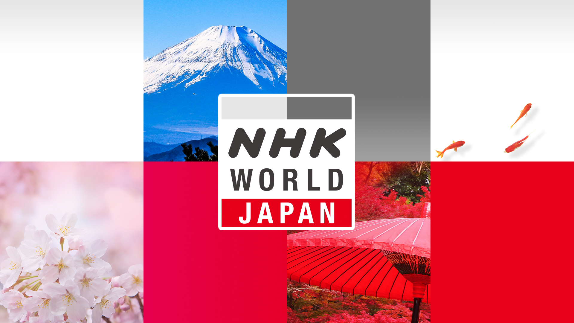 Nhk上原光紀アナの最新動向追跡！番組改編とキャリアの転換点